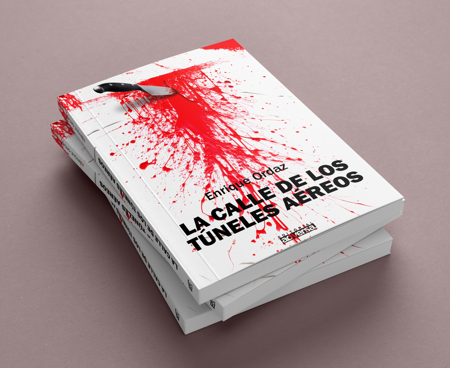 LA CALLE DE LOS TÚNELES AÉREOS