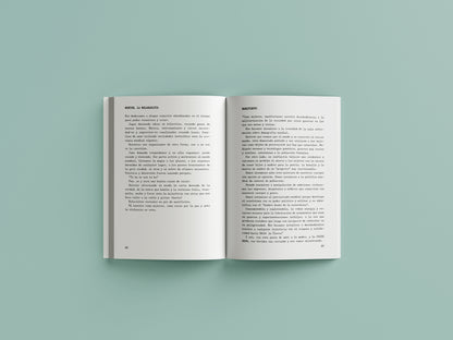 Diario de un largo viaje